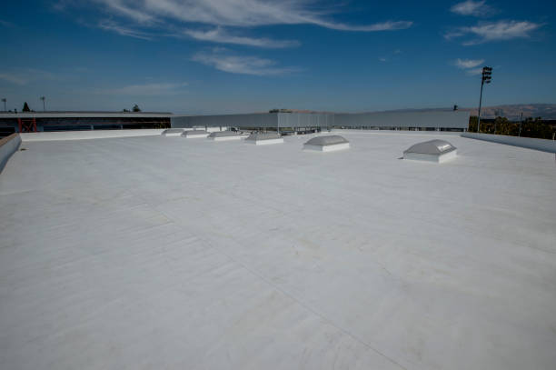 Best Roof Waterproofing  in Pontiac, IL