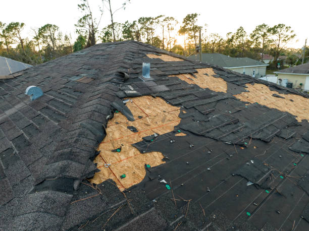 Best Metal Roofing Installation  in Pontiac, IL